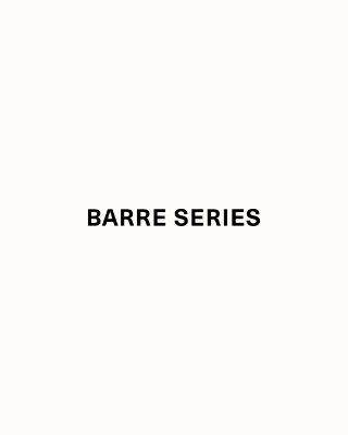 Exercise Professional Barre Series in London England