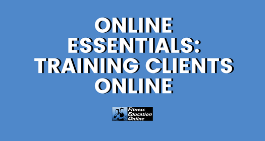 Online Essentials: Training Clients Online