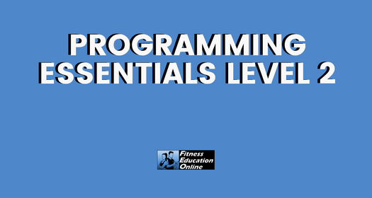 Programming Essentials Level 2